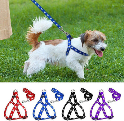 Petstorez 1 pcs 15 mm Paw Print Leash and Harness Set for Small ,Medium Puppy Dog & Cat Harness & Leash(Small, Multicolor)