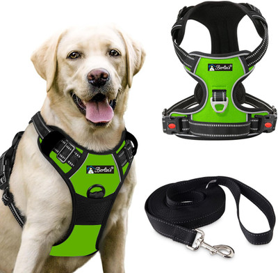 Berlin's Double Side/Body Ajustable Dog Harness with Leash Dog Collar & Leash(Large, Parrot Green)