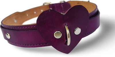 QualityNeedz Heart Shape Dog Everyday Collar(Medium, Multicolor)