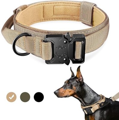 Petshop7 Tactical Collar CC1 Dog Everyday Collar(Medium, Baige)