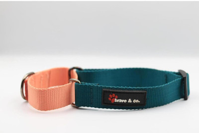Bravo & Co. Dog Everyday Collar(Medium, Emerald & Cream)