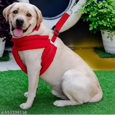 BODY BUILDING Dog Standard Harness(Extra Small, RED)