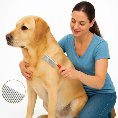 Deep Option DP-Dog Nail Cutter with Filer + Pet Bath Brush Grooming Comb-4 in 1 Dog Combo Plain/ Bristle Brushes for Dog, Cat, Hamster, Rabbit, Mouse, Monkey, Squirrel Deep Option DP-Dog Nail Cutter with Filer + Pet Bath Brush Grooming Comb-4 in 1 Dog Combo Plain/ Bristle Brushes for Dog, Cat, Hamster, Rabbit, Mouse, Monkey, Squirrel