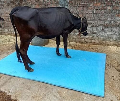 BOVEX Cow & Buffalo Mat | Non-Toxic, Waterproof, Easy Clean, Blue Cow Pet Mat