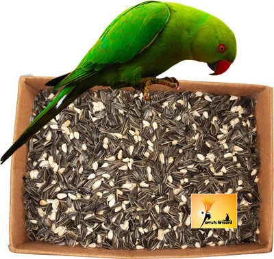 Parrots Wizard Bird Food karada + sunflower mix 900 0.9 kg Dry Adult Bird Food