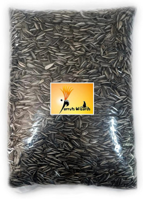 Parrots Wizard Sunflower Seed Bird Food 0.9 kg Dry Adult, Young, New Born Bird Food