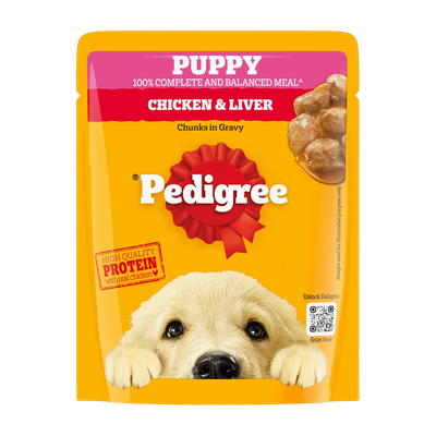 PEDIGREE Gravy Chicken, Liver Chunks 70 g Wet Young Puppy Food