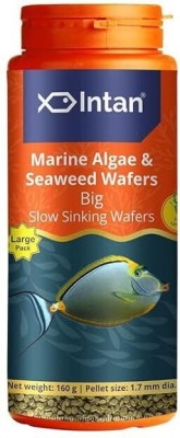 INTAN Marine Algae & Seaweed wafers Big Pack| Slow Sinking Wafers for Fish |1.7 mm Dia 0.16 kg Dry Adult Fish Food
