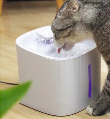 THE DDS STORE 3L Cat Water Fountain