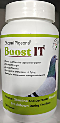 bhopal pigeons BOOST IT 100 CAP WITH CRAETINE AND CARNITINE FOR PIGEON FLIGHT BOOSTING Pet Health Supplements(1 Pieces)