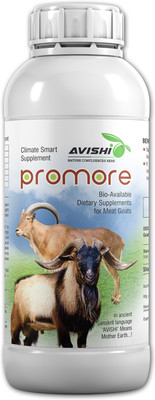 Avishi Goat & Sheep Promore Pet Health Supplements(500 ml)