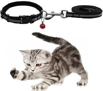 DOSAN 160 cm Dog & Cat Cord Leash(Black)