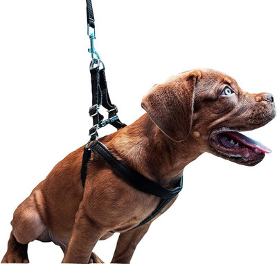 Tame Love Combo of Adjustable Nylon Chest Belt Harness with Leash Dog Rope for All Breeds 162 cm Dog Cord Leash(Black)
