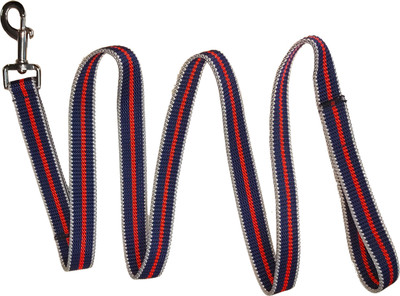 PANCHTATAVA Reversible Strong Nylon 5.5 Feet Reflective Lease for Dogs with Swivel Snap Ring 135 cm Dog & Cat Strap Leash(Multicolor)