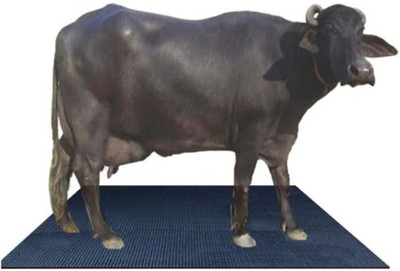 Matzo Heavy Duty Cow & Buffalo Mat | 8x5 Ft, BPA-Free, Waterproof, Easy to Clean Black Cow Pet Mat