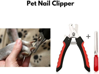 Regiis NA Grinder Nail Clipper(For Dog)