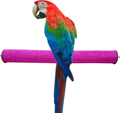 CONGO NATURAL PARROT TREAT Grooming Perch Bird(Size: Large)