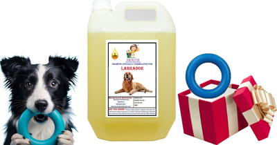 swacch Labrador Dog Shampoo + Rubber Ring Toss I Playing & Training Toy I Combo Pack I Conditioning Lemon Dog Shampoo(5 L)