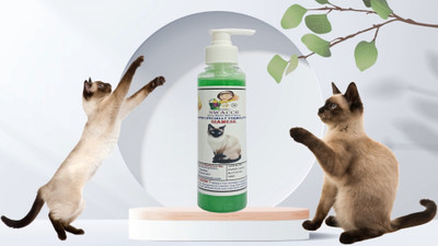 swacch Premium Shampoo For Siamese Conditioning Neem Alovera Cat Shampoo(200 ml)
