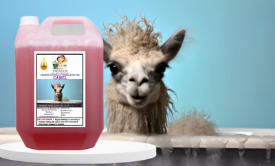 swacch Camel Shampoo Conditioning Strawberry Dog Shampoo(5000 ml)