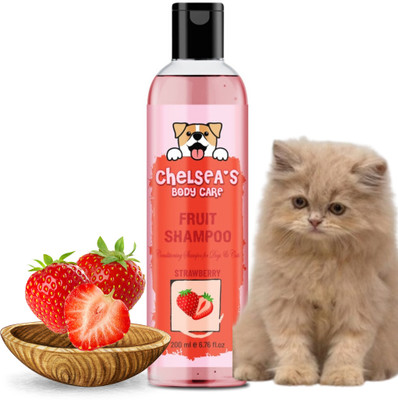 Ektek Biocare Persian Cat Shampoo | For Soft, Shiny Coat & Clean Skin | 200ml Conditioning, Whitening and Color Enhancing Strawberry Cat Shampoo(200 ml)