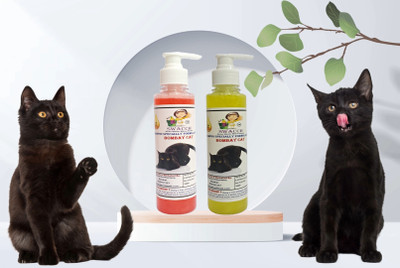 swacch Premium Shampoo For Bombay Cat (200ml) (Combo Pack of 2) Conditioning Strawberry, Lemon Cat Shampoo(400 ml)