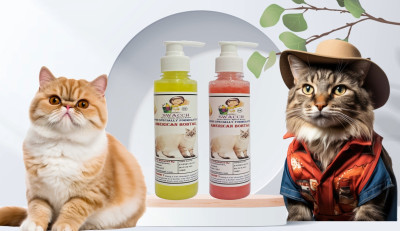 swacch Premium Shampoo For American Bobtail (200ml) (Combo Pack of 2) Conditioning Lemon, Strawberry Cat Shampoo(400 ml)