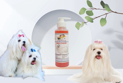 swacch Premium Shampoo For Maltese Conditioning Jasmine Dog Shampoo(200 ml)