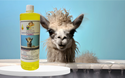 swacch Camel Shampoo Conditioning Lemon Dog Shampoo(1000 ml)