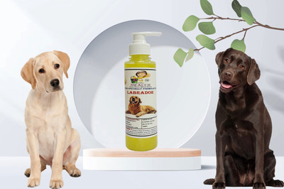 swacch Premium Shampoo For Labrador Conditioning Lemon Dog Shampoo(200 ml)