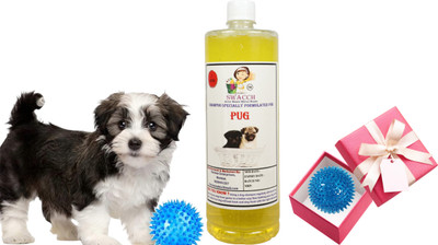 swacch Pug Dog Shampoo + Rubber Spike Ball Chew Toy Combo Pack Conditioning Lemon Dog Shampoo(1 L)
