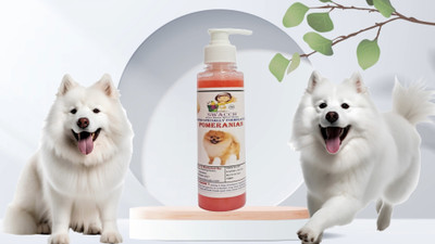 swacch Premium Shampoo For Pomeranian Conditioning Strawberry Dog Shampoo(200 ml)