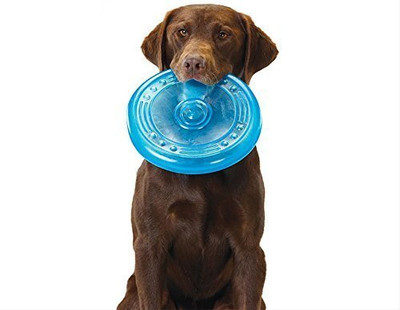 DCM PET MART Aggressive Chewer I Interactive Flying Toys for Playing Dogs and Puppies Rubber, Silicone Fetch Toy, Frisbee For Dog