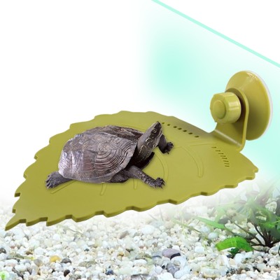 Jainsons Pet Products Plastic Training Aid For Turtle