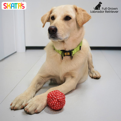 SKATRS Cotton Chew Toy For Dog & Cat