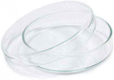 GLASSWORD Glass Reusable Petri Dish(90 mm Pack of 10)