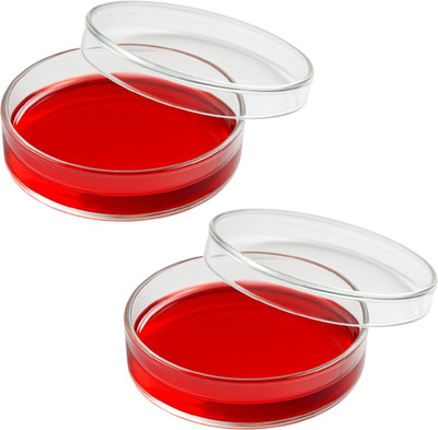 LABXPORT Glass Reusable Petri Dish(75 mm Pack of 2)