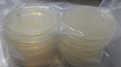 MAAT BIOTECH Polystyrene Disposable Petri Dish(90 mm Pack of 100)