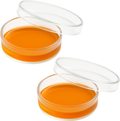 LABXPORT Glass Reusable Petri Dish(50 mm Pack of 2)