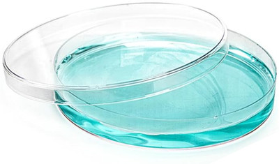 LABXPORT Glass Reusable Petri Dish(100 mm Pack of 1)
