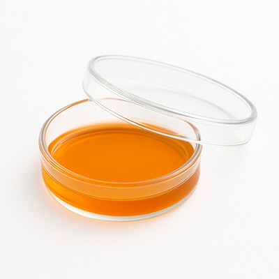 LABXPORT Glass Reusable Petri Dish(50 mm Pack of 1)