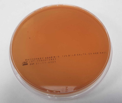 MAAT BIOTECH Polystyrene Disposable Petri Dish(90 mm Pack of 100)