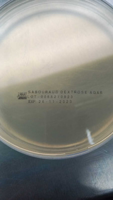 MAAT BIOTECH Polystyrene Disposable Petri Dish(90 mm Pack of 100)