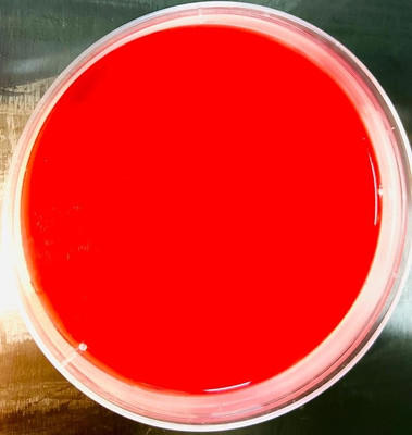 MAAT BIOTECH Polystyrene Disposable Petri Dish(90 mm Pack of 100)