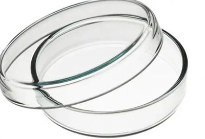 GLASSWORT Glass Reusable Petri Dish(75 mm Pack of 1)