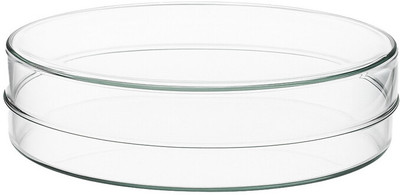 OCTA Glass Reusable Petri Dish(150 mm Pack of 1)