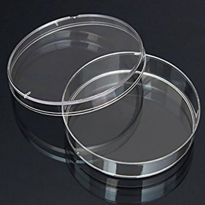 muffinarts Glass Disposable Petri Dish(6 mm Pack of 10)