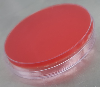 MAAT BIOTECH Polystyrene Disposable Petri Dish(90 mm Pack of 100)