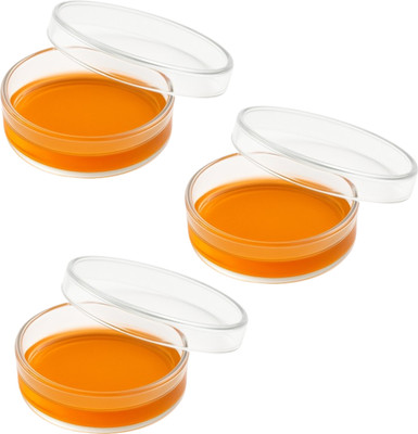 LABXPORT Glass Reusable Petri Dish(50 mm Pack of 3)