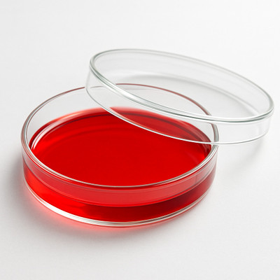 LABXPORT Glass Reusable Petri Dish(75 mm Pack of 1)